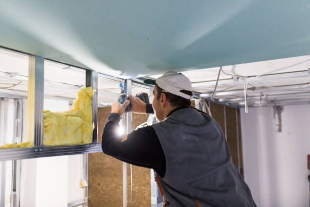 Best Eco-Friendly Insulation in Swansboro, NC